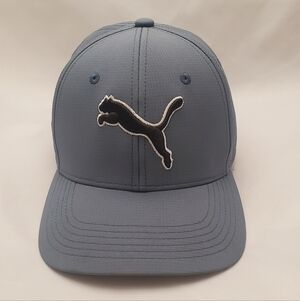 Puma Steel Blue/Gray Cap